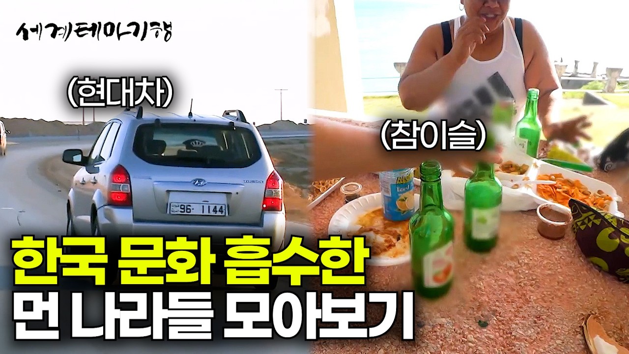 분명 해외인데 한국이 보인다. 먼 나라에서 찾은 한국 문화 모아보기 | 한국을 사랑하는 세계인들 | 세계테마기행 | #세테깅
