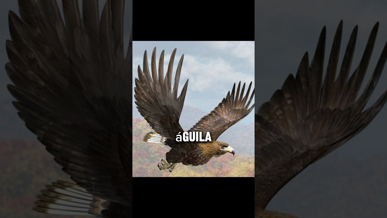 Las aves nacionales que tienen en cada país 