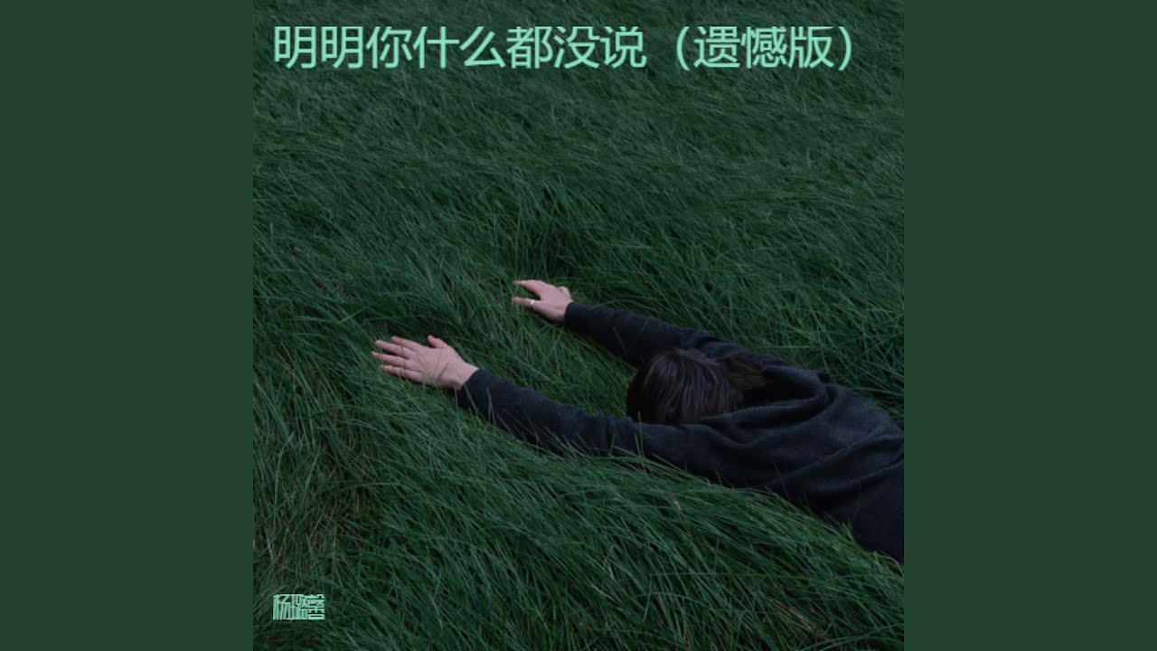 明明你什么都没说（遗憾版）