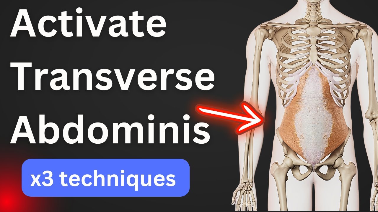How to activate your Transverse Abdominis Muscle & Pelvic Floor