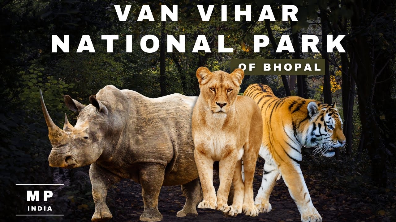 Complete details | Van Vihar National Park Bhopal | वन विहार राष्ट्रीय उद्यान भोपाल | #review