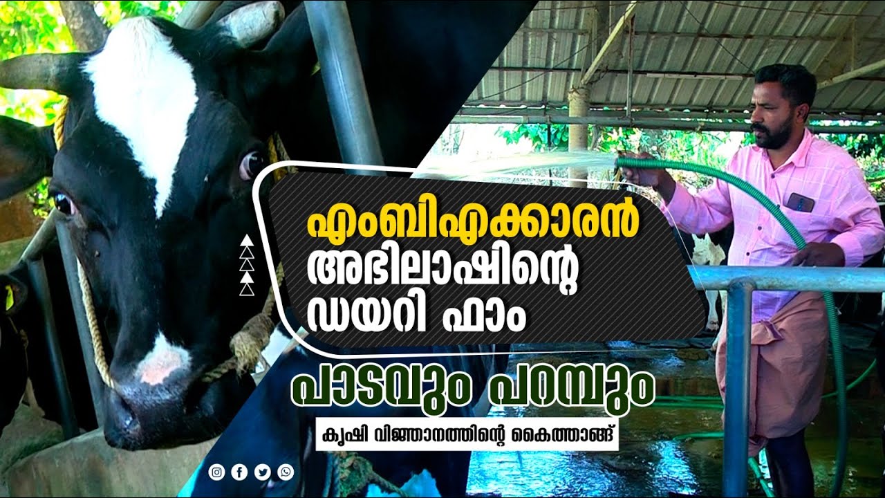 എംബിഎക്കാരന്‍ അഭിലാഷിന്റെ ഡയറി ഫാം| DIARY FARM