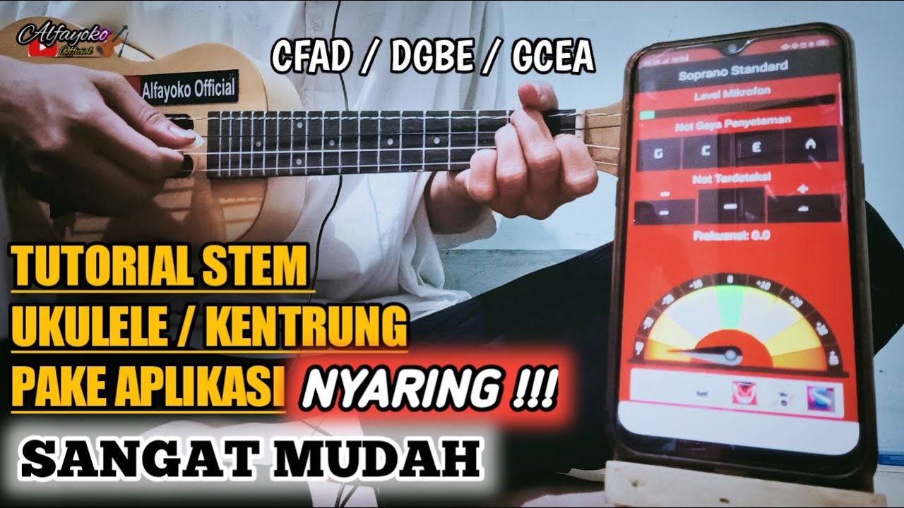 CARA STEM UKULELE SENAR 4 BIAR NYARING || PAKE APLIKASI ~ SANGAT MUDAH ( Alfayoko )