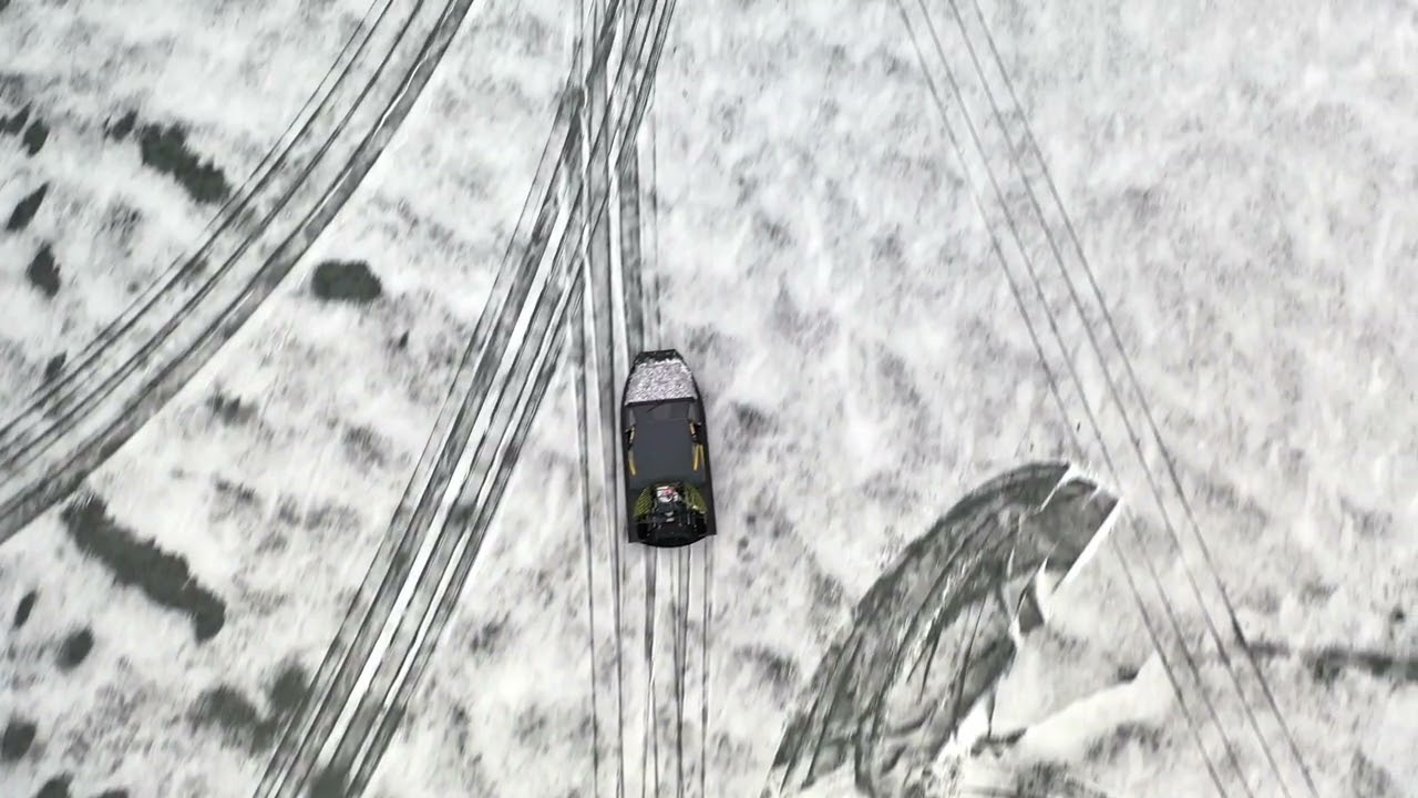 ALLIGATOR TEST VIDEO 1