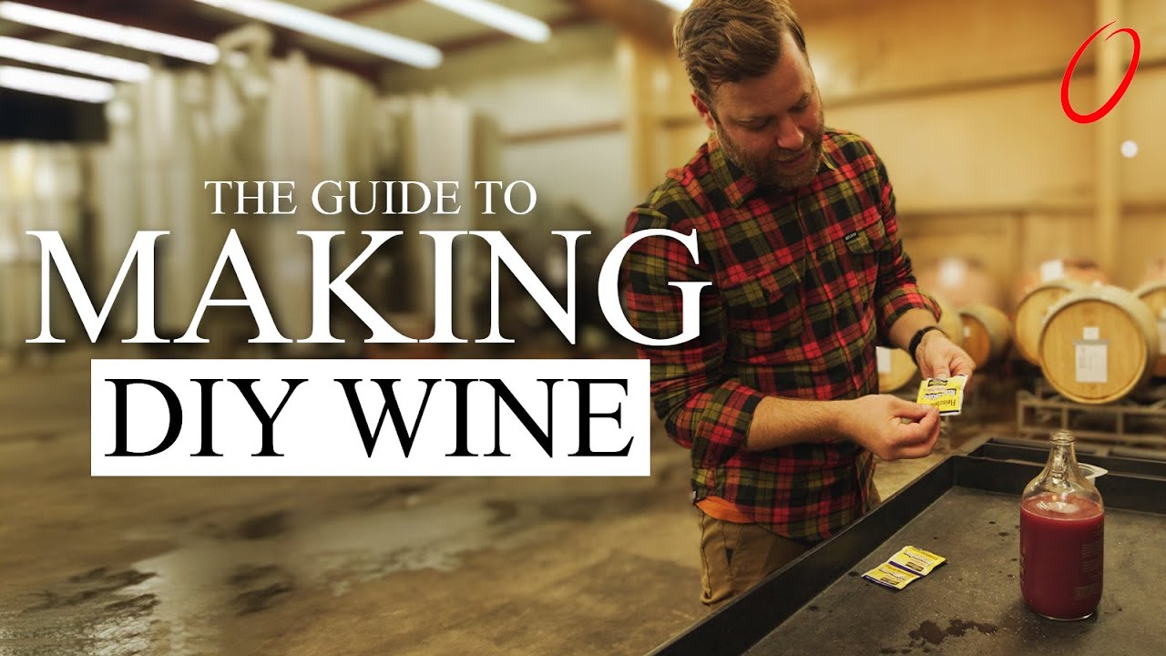 How To Make DIY Wine (With Grocery Store Grapes)