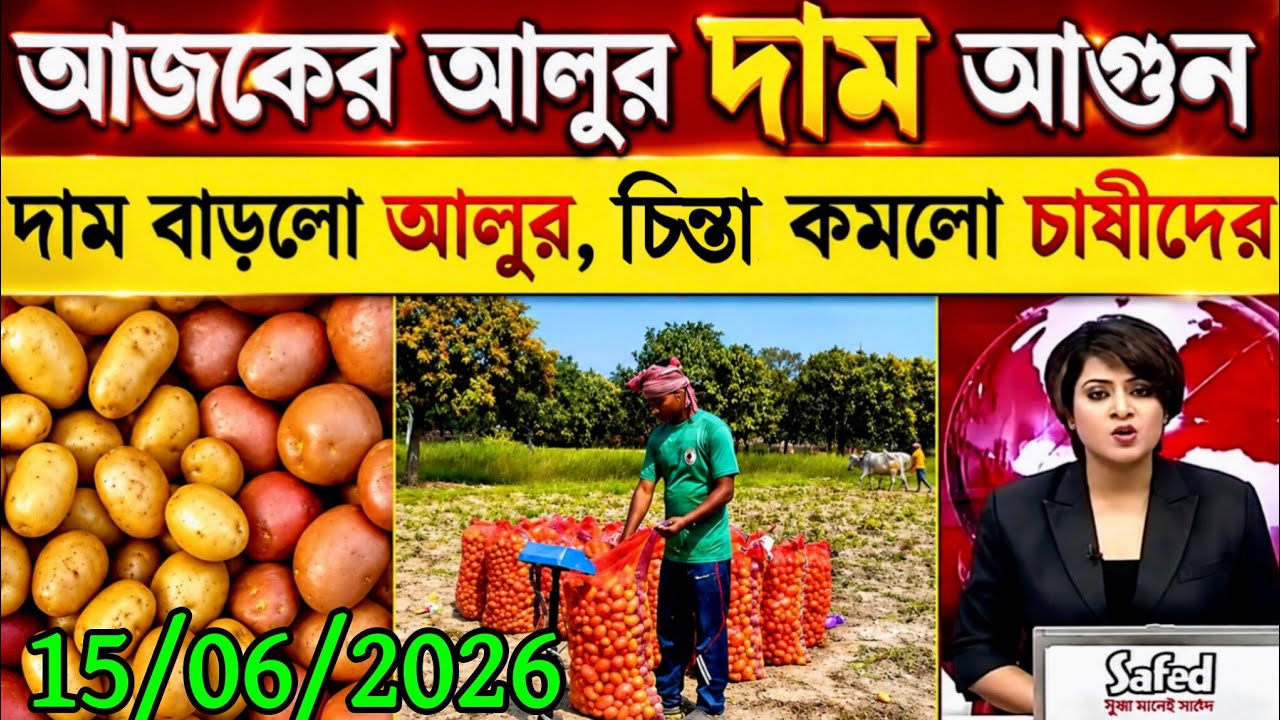 আজকের আলুর বাজার মূল্য/india potato news West bangal/Potato price today west bengal