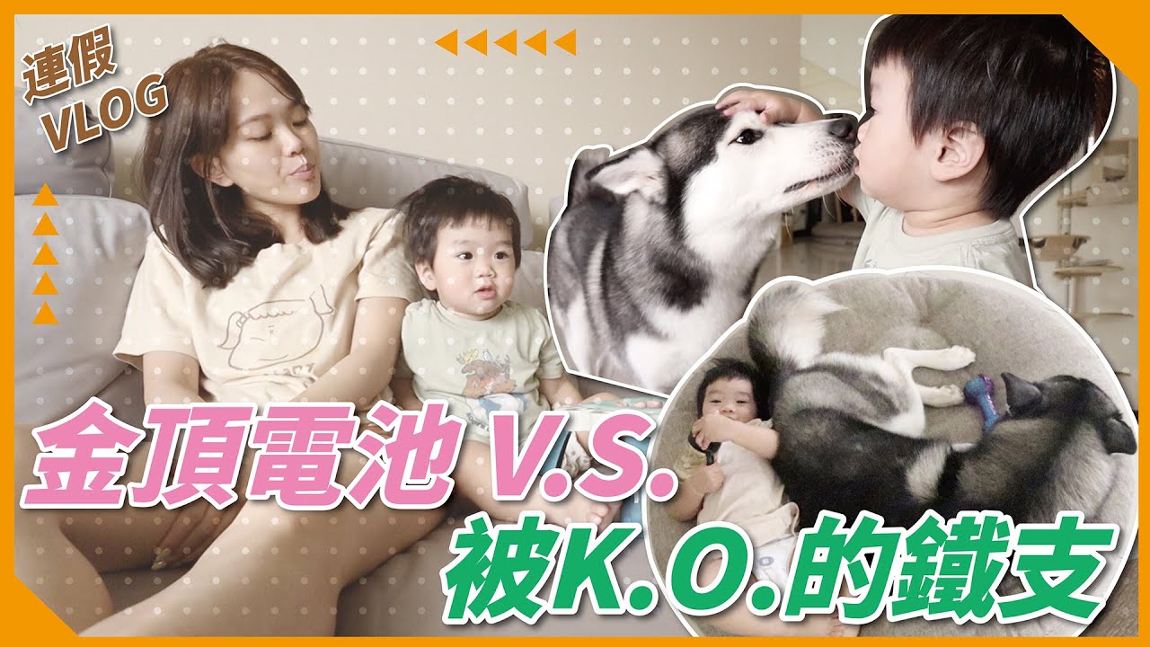 【六寶日常 EP8】3天連假流水帳！電力用不完的黃金 vs 被KO的哈士奇 ！♡彥婷