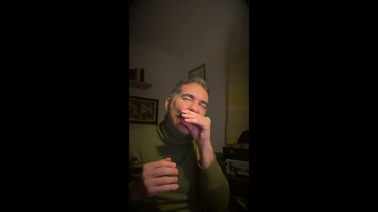 Blues man (B.B.King), harmonica improvisation