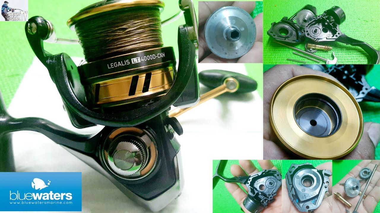 daiwa spinning reel maintenance | daiwa legalis | daiwa | daiwa legalis 2019  lt4000-cxh