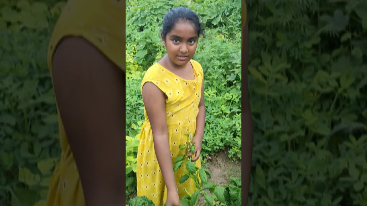 organic 🐩🍅🥒🍆🥜