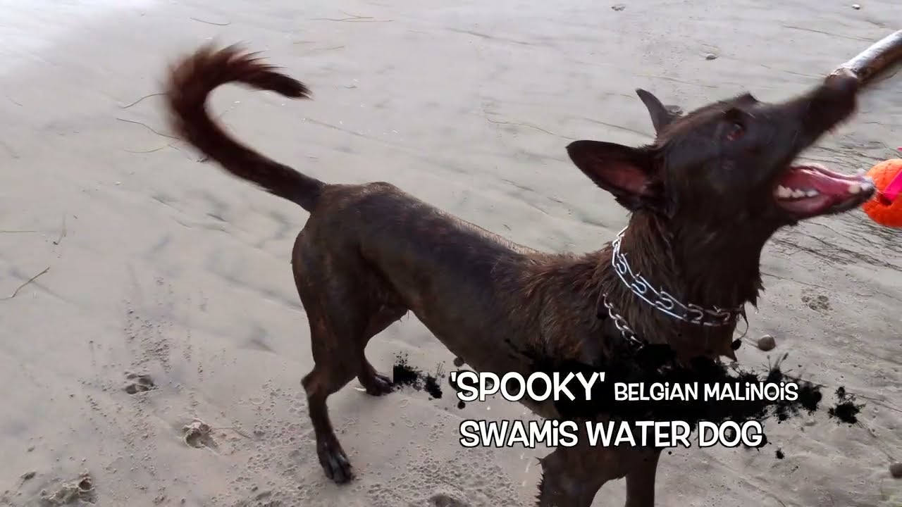Xcorps Swamis Vibe Film Trailer #1. Spooky