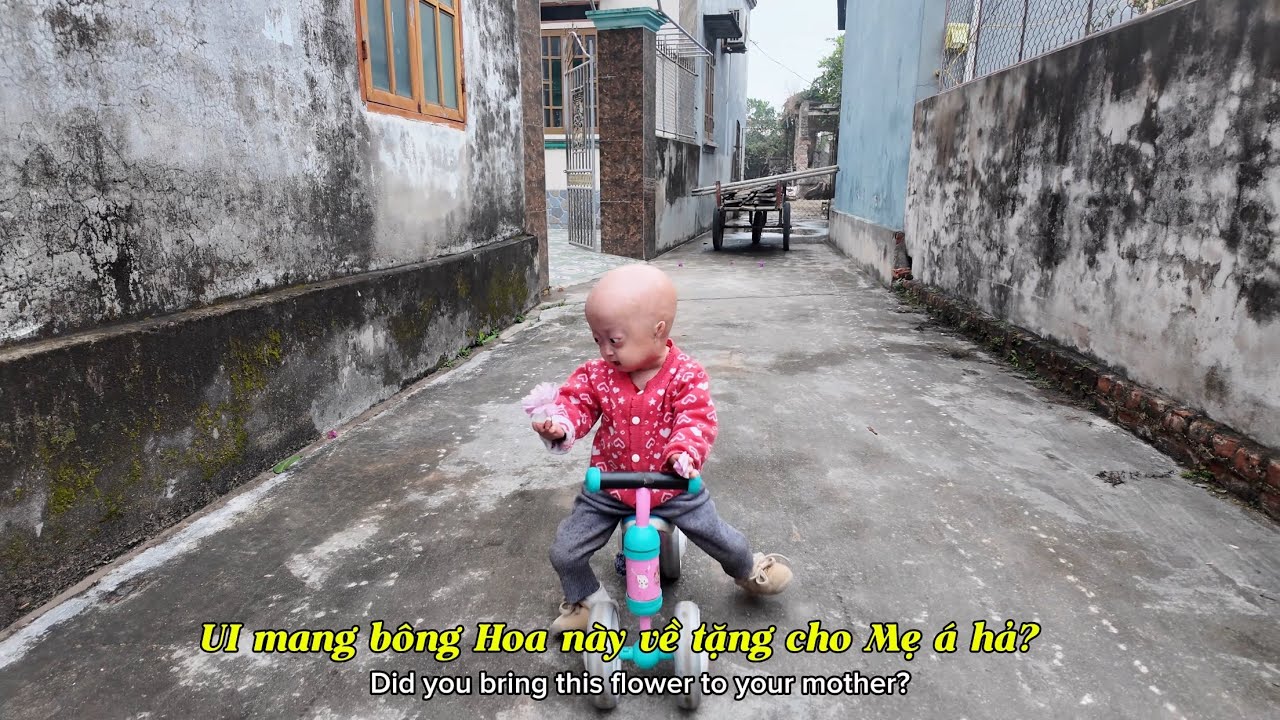 Hành trình về nhà của Gạo sau chuỗi ngày nghỉ tết đầy cảm xúc P1 #begaotihon #tepgaofamily #vuinhon