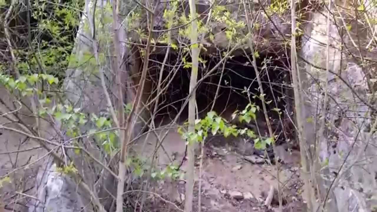 Opuszczone bunkry wojskowe, Złotniki