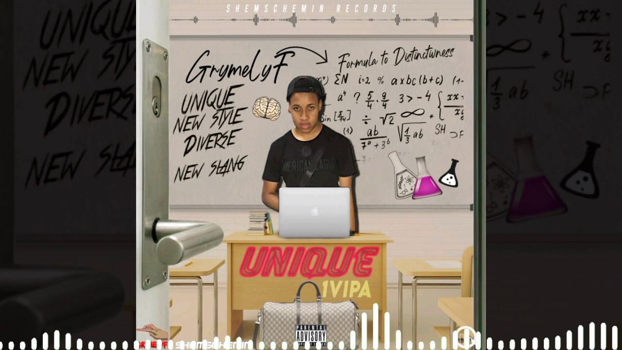 1 Vipa - Unique (Official Audio Visualizer)