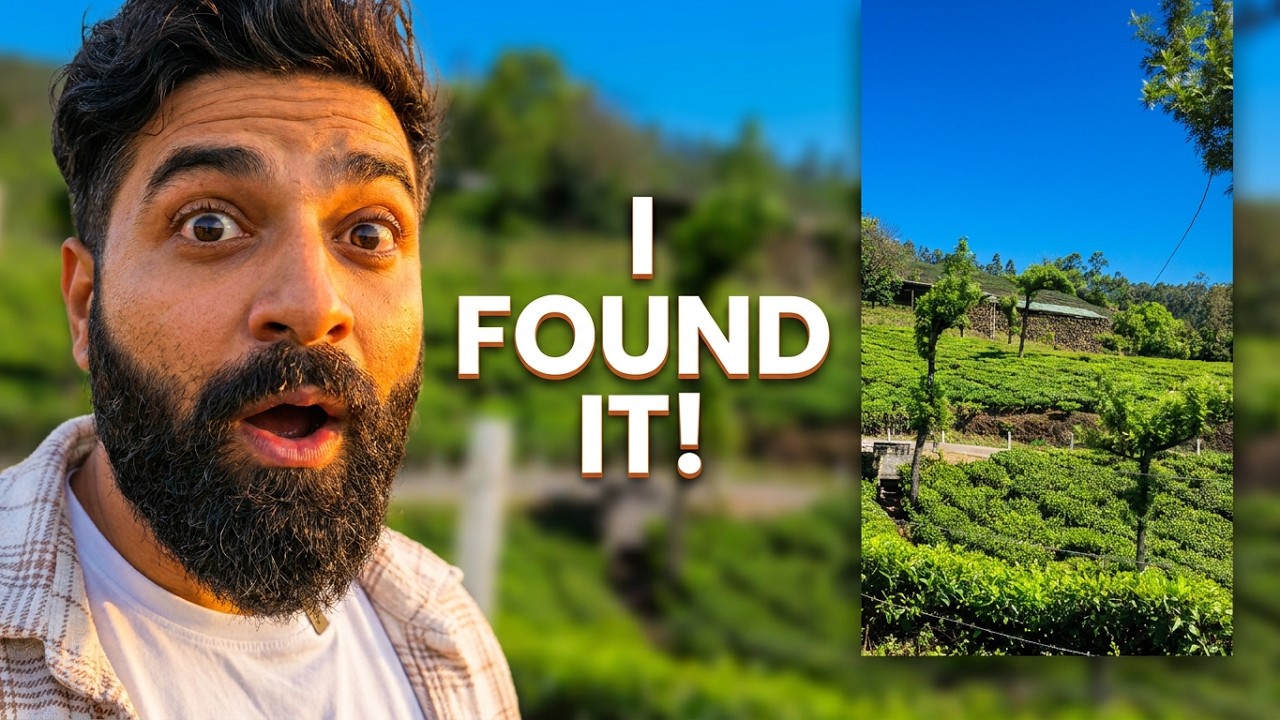 I Spent 10 Days in Munnar and Thekkady Here's What I Found