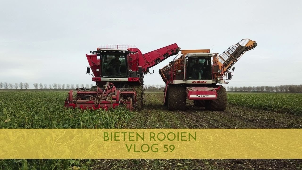 bieten rooien (nr 59)