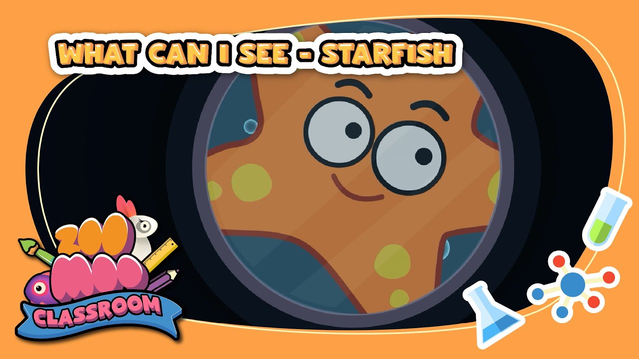 What do you see? ⁨@ZooMoo⁩| #kidslearning #kidsgames