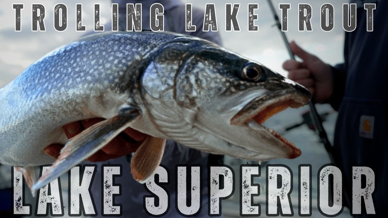 Trolling for Trophy Lake Trout on Lake Superior! (Tactics & Tips)
