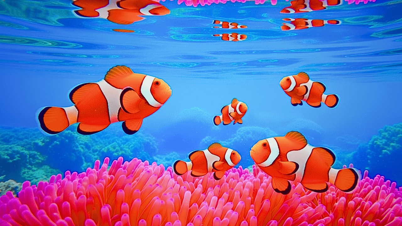 The Best 4K Aquarium 🐠 Discover Stunning Jellyfish,Vibrant Coral Reefs & Exotic Ocean Life