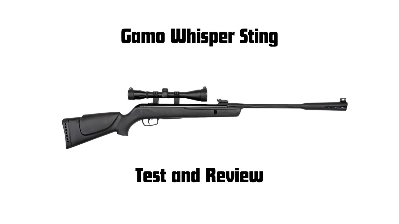 Gamo Whisper Sting Test and Review