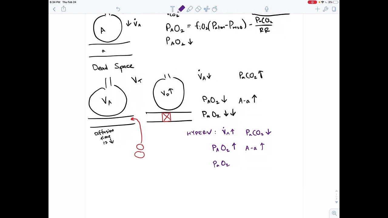 Arterial Blood Gasses - CO2 and O2