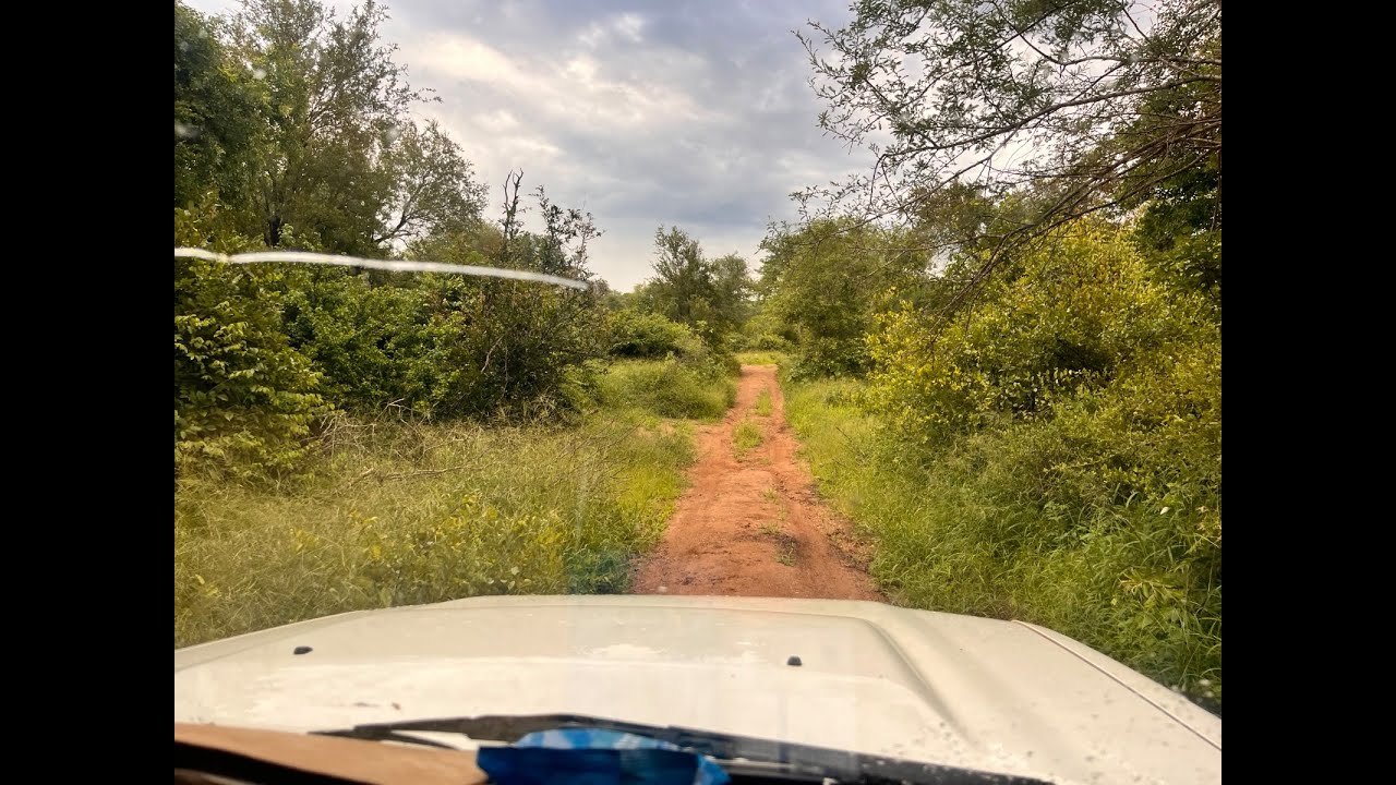 Making a Trip to Chiredzi through the Conservancy