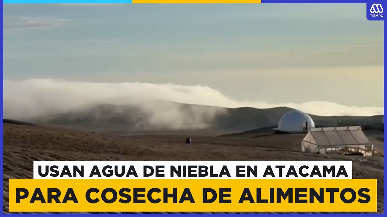 Uso de agua de niebla en Atacama para la cosecha de alimentos