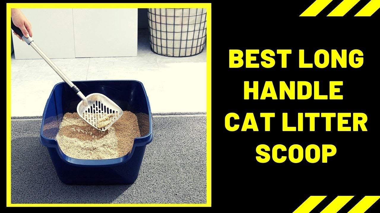Best Long Handle Cat Litter Scoop (Litter Scoop For Speedy Cleanup) - Cute Litter Box