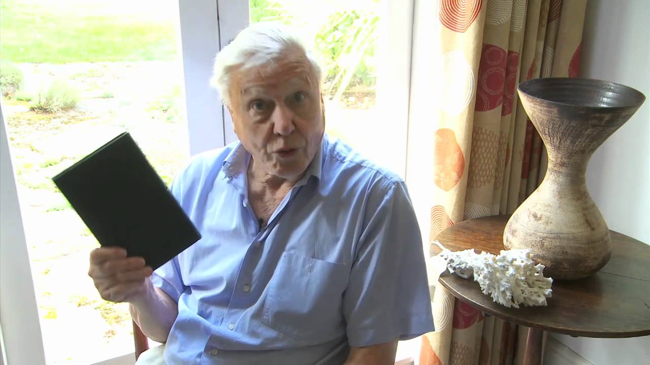 5-minute documentary on cold-water corals narrated by Sir David Attenborough