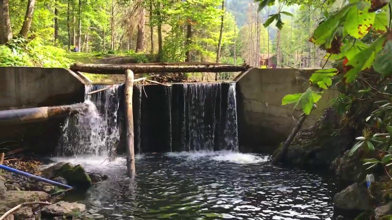 borçka karagöl artvin