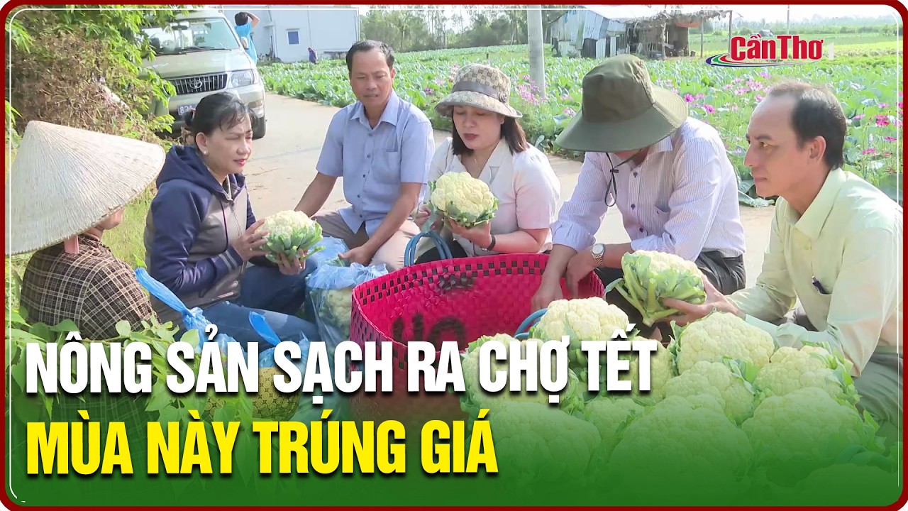 Nông sản sạch ra chợ Tết – mùa này trúng giá | NNST