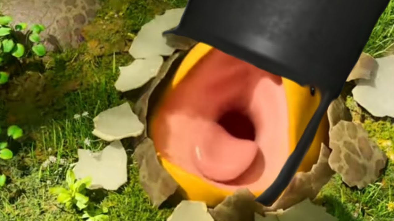 The Prepare The Defenses! Beast (Guts & Blackpowder meme)