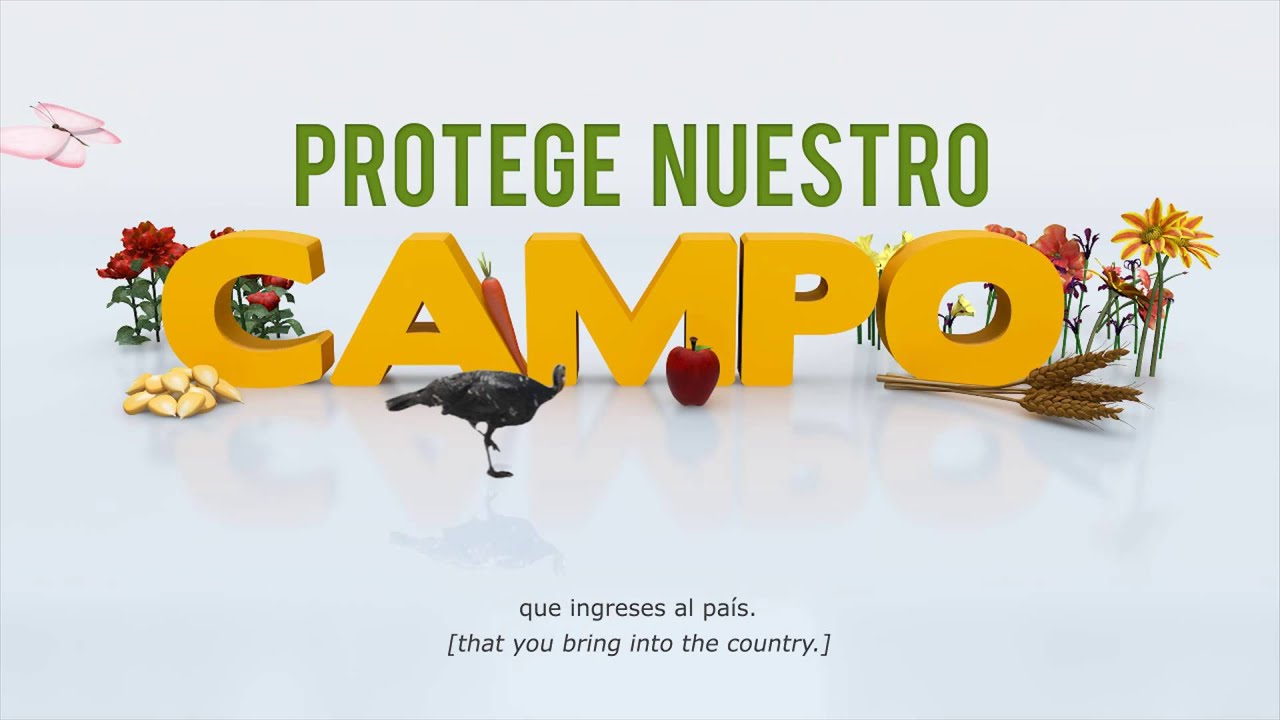 &iquest;Qu&eacute; protege el SENASICA?