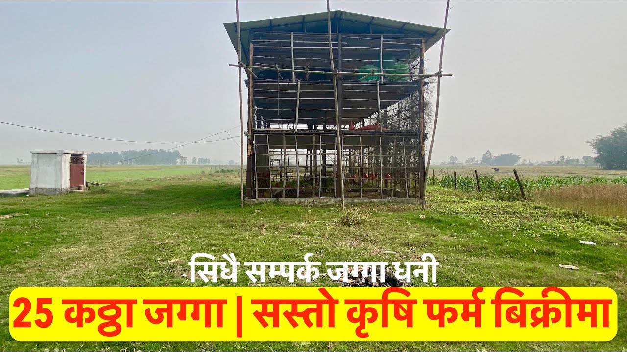 25 Katha Jagga| Sasto| Krishi Farm on Sale| Land below market price| Real Estate Nepal #bhubanthapa