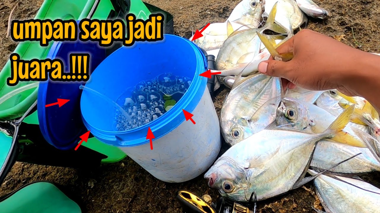 PANEN BESAR‼️UMPAN SAYA JADI JUARA PESTA STRIKE IKAN ENAK | NAHOL MANIA libur mancing ikan red devil
