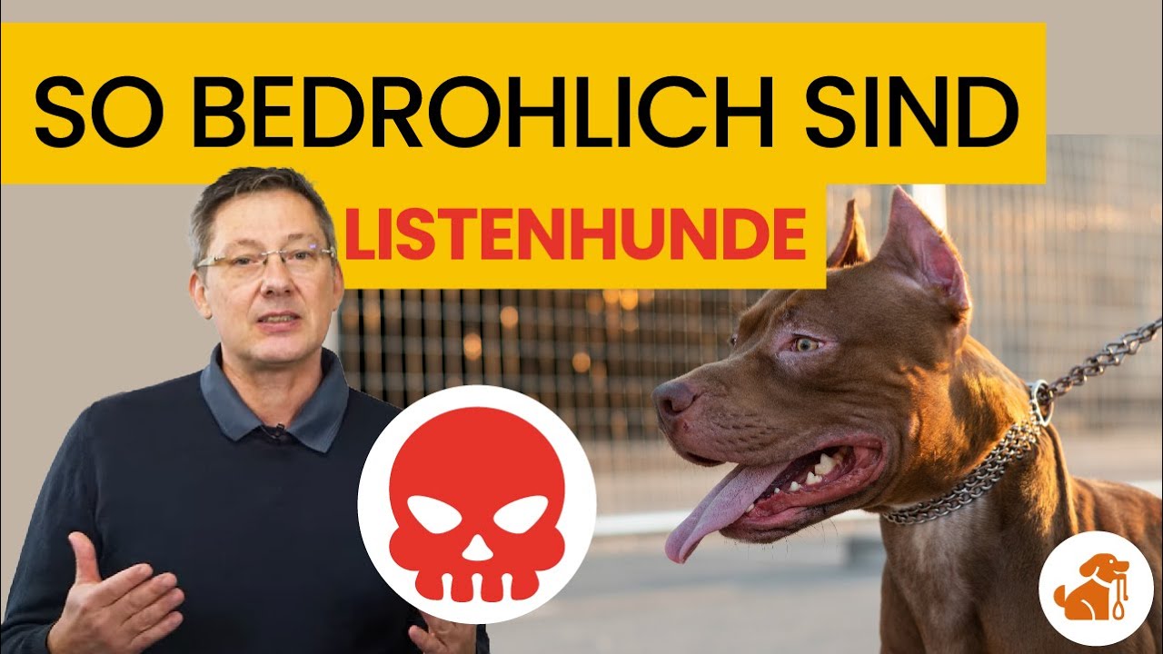 Die Wahrheit über Listenhunde - So gefährlich sind 