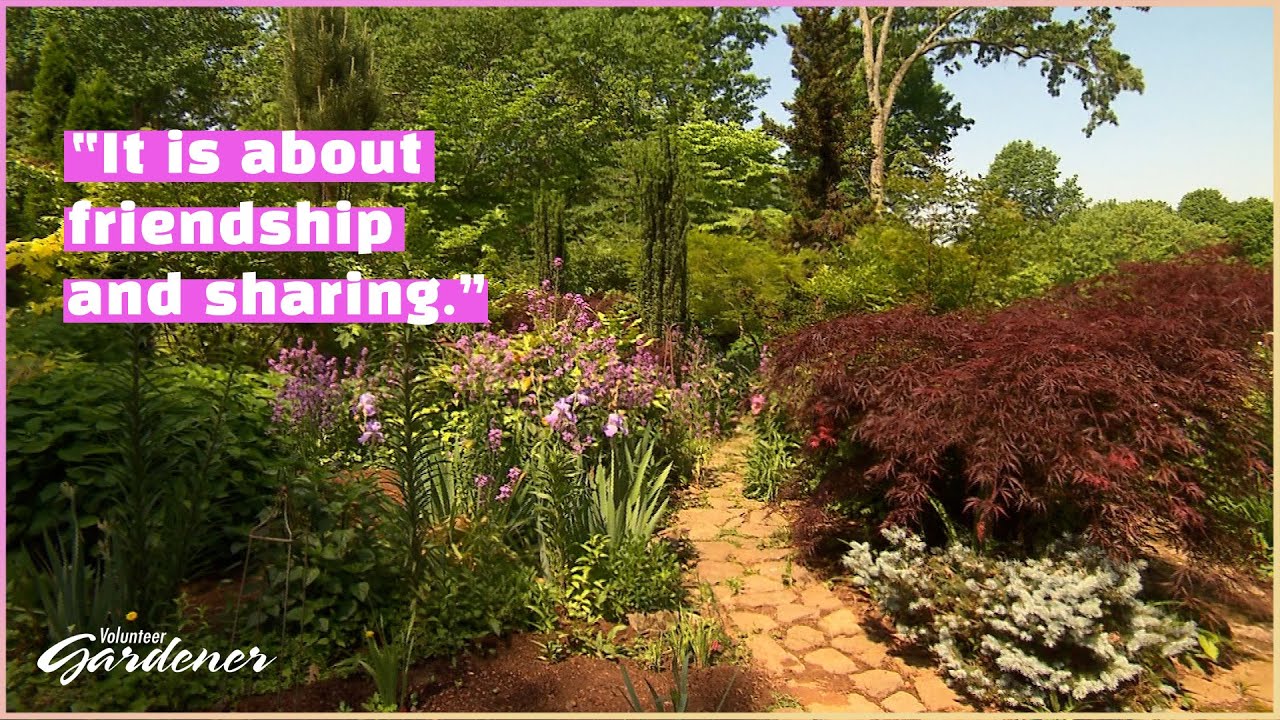 Friendships Garden | Volunteer Gardener