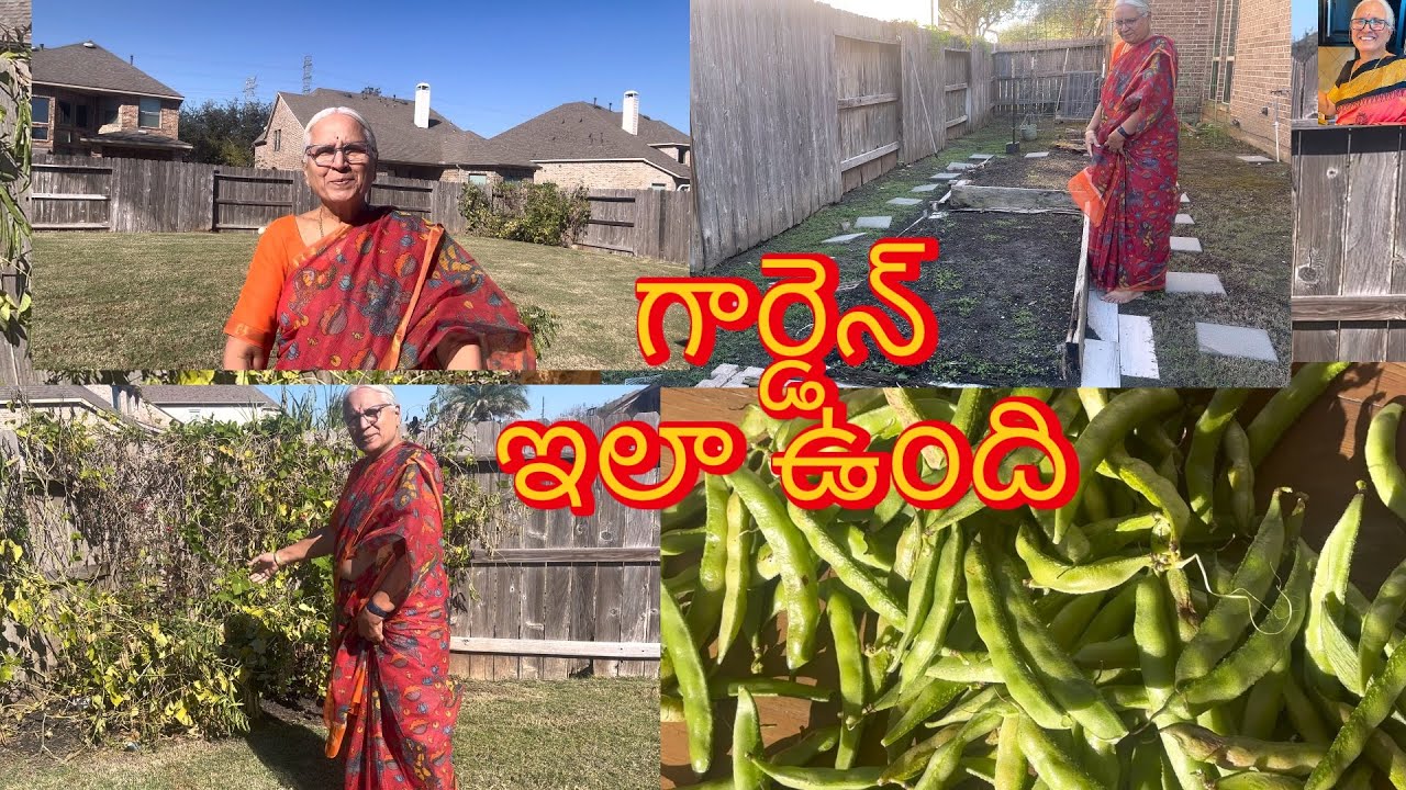 అమెరికాలో అమ్మాయిbackyardగార్డెన్ఎలా ఉందో చూద్దాం#jayasreesvlogs #usateluguvlogs #backyardgardening 