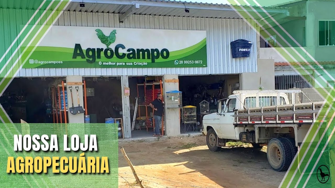 Como ter uma LOJA AGROPECUÁRIA?! - AGROCAMPO