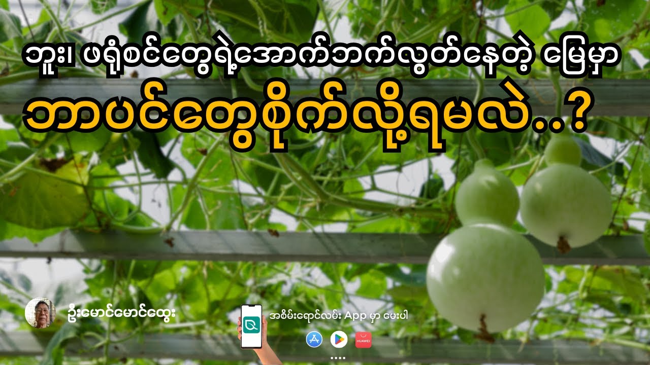 မြေဆီလွှာ တိုင်းစက်အသုံးပြုနည်းအပါဝင် စိတ်ဝင်စားစရာ မေးခွန်းများရဲ့ အဖြေ