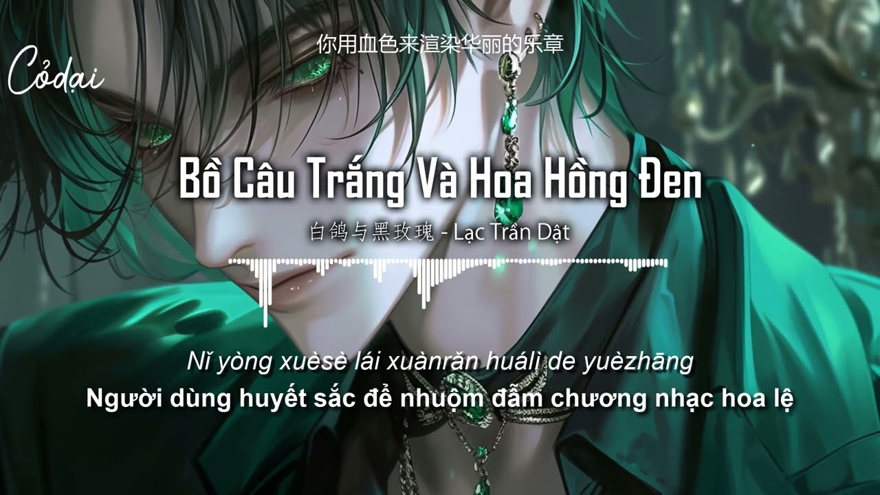 [Vietsub + Pinyin]  Bồ Câu Trắng Và Hoa Hồng Đen - Lạc Trần Dật / 白鸽与黑玫瑰 - 洛尘鞅