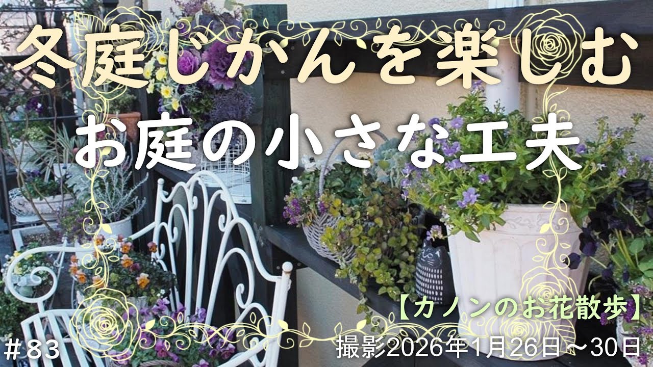 #83　冬の間にお庭のひと工夫 　落葉している季節にアイアンフェンスの取り付けとデッキ手摺は鉢を飾れる棚にリメイクしました　購入したガーデンテーブルでのイメージアップや春に向けて花木の購入など紹介