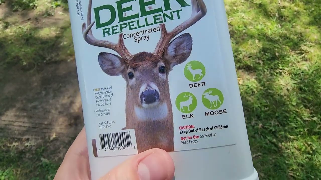 Concentrated Deer Repellent   Bobbex Deer, Elk, and Moose Deterrent Concentrate Review