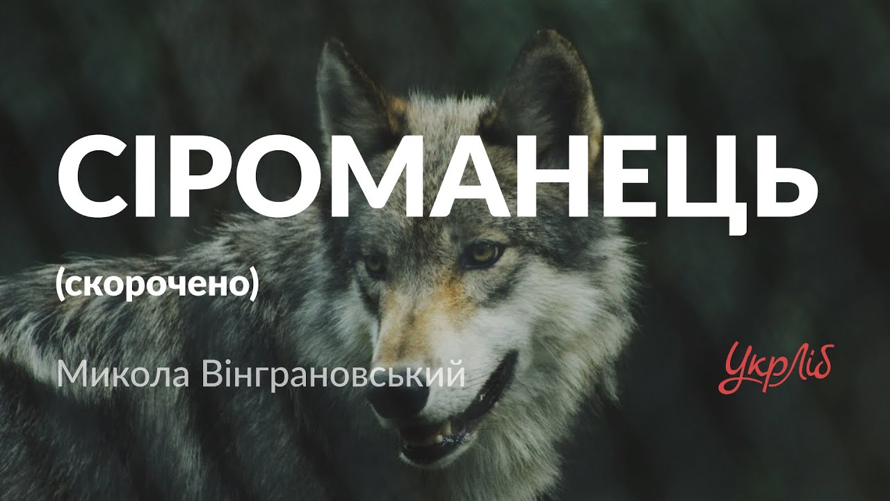 Микола Вінграновський — Сіроманець (аудіокнига скорочено)