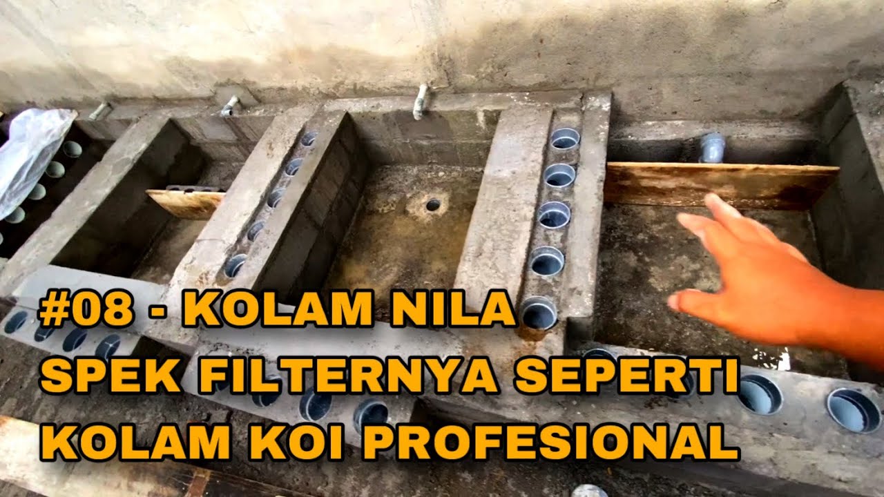 #08 - BIKIN KOLAM NILA SPEK CHAMBER FILTERNYA SEPERTI KOLAM KOI PROFESIONAL
