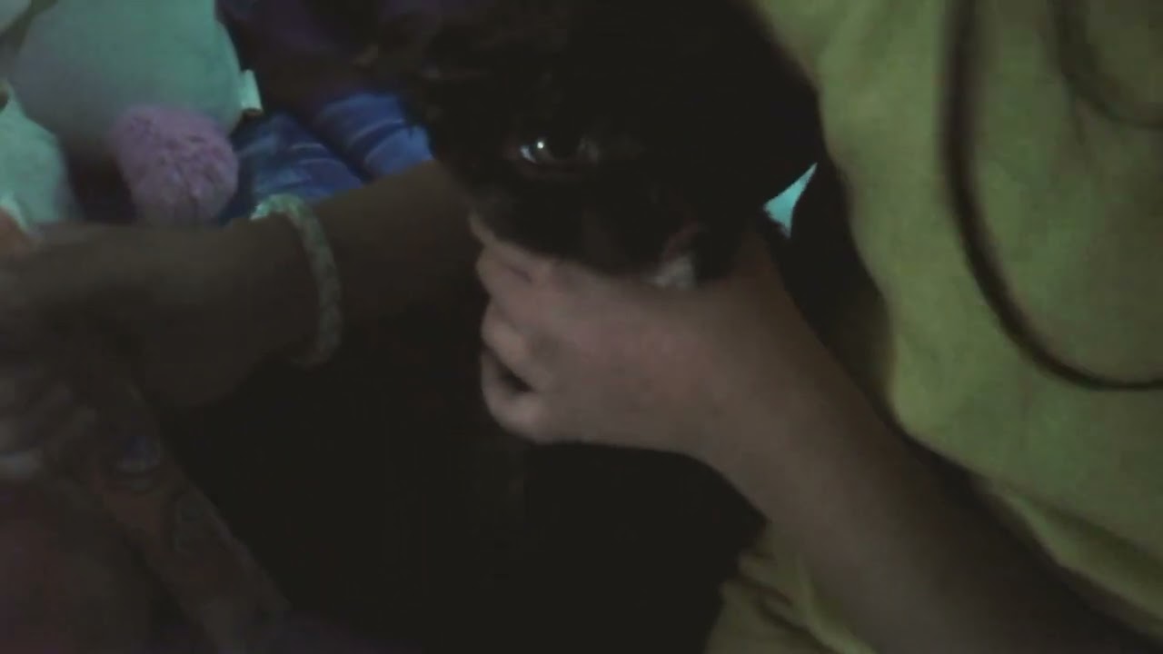 therdy likes yogor🐱🗿