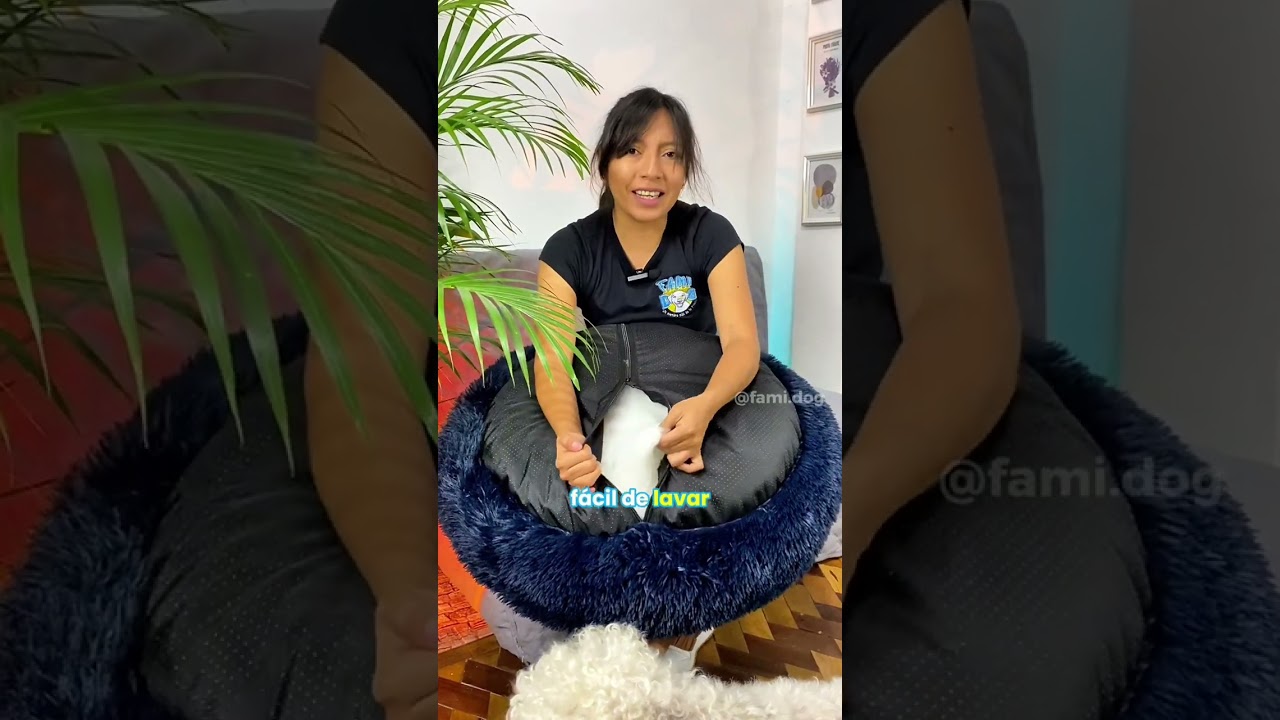 Deja de botar 💸 en camas para perros 🐶 Cama para perros ecuador cama ortopedica para perro cama para