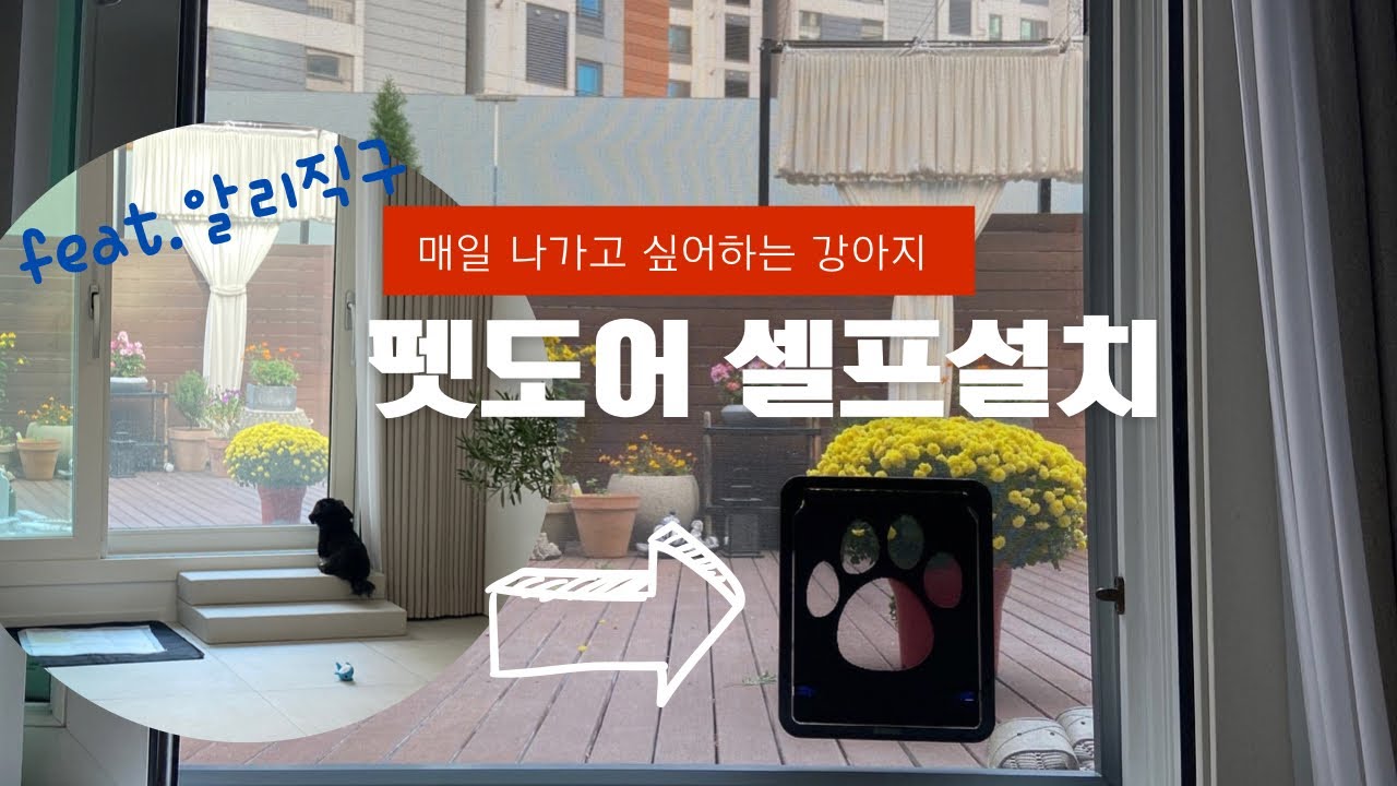 흑임자를 위한 방충망 펫도어 설치 | 강아지용품 직구 | 매일 두세번씩 나가는 테라스 | 강아지브이로그
