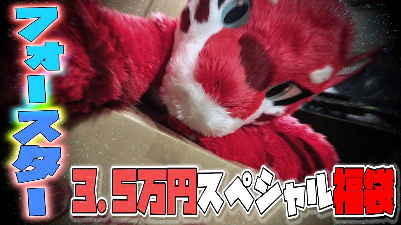 【ケモノ/ゆっくり】2026年フォースター冬のスペシャル3.5万円福袋開封動画