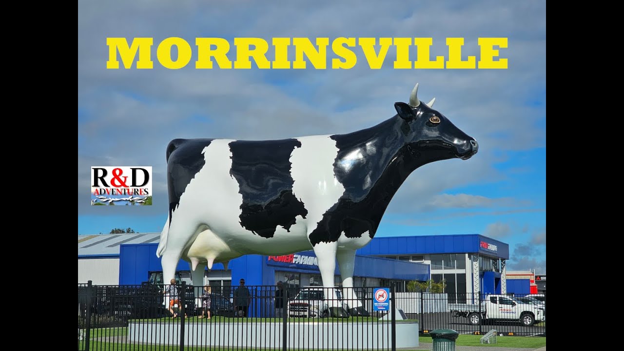 Morrinsville | Piako River Walk | Scenes of New Zealand
